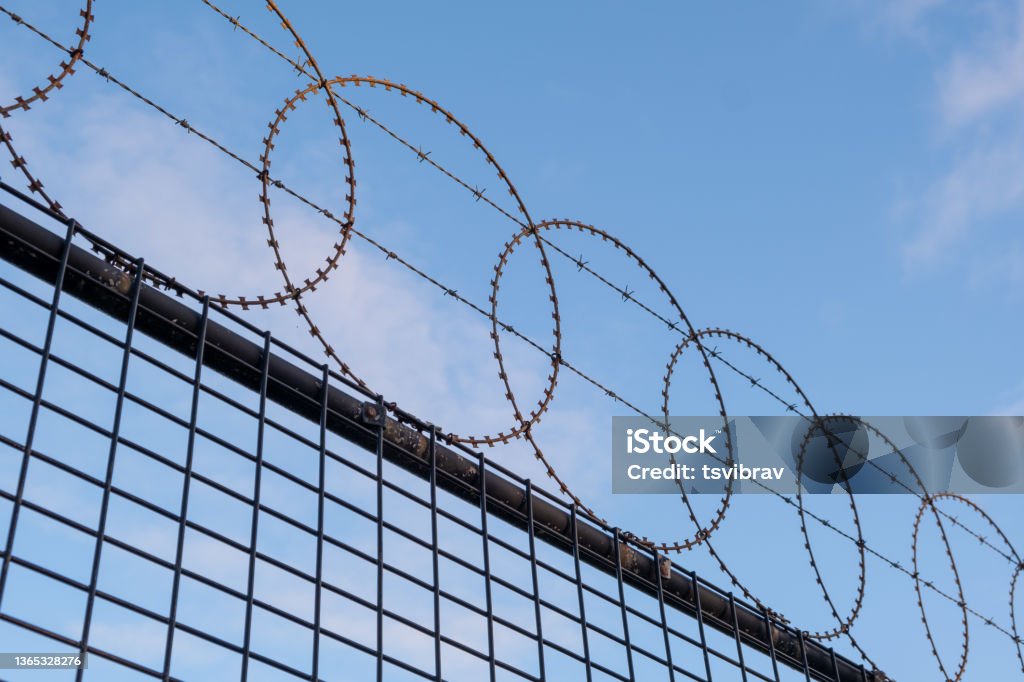 Wire Mesh fencing Cape Town